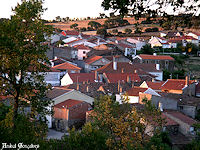 Brunhoso